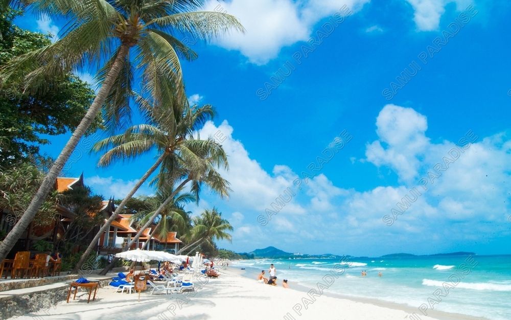 Samui Paradise Chaweng Beach Resort Bagian luar foto